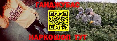 гашиш Новодвинск