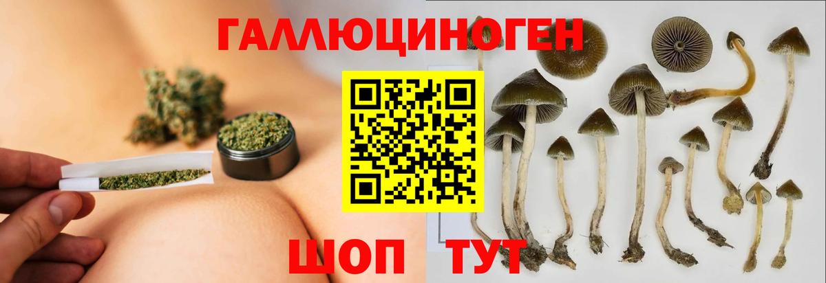 Узловая  Галлюциногенные грибы Cubensis  Вход с VPN 